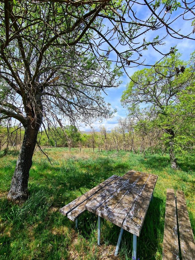 Acogedora Y Romantica Casita En La Sierra Garganta De Los Montes エクステリア 写真