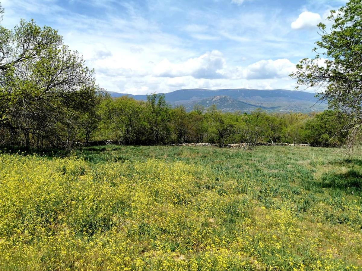 Acogedora Y Romantica Casita En La Sierra Garganta De Los Montes エクステリア 写真