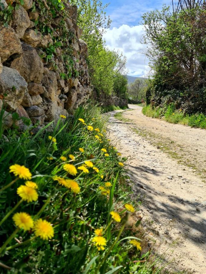 Acogedora Y Romantica Casita En La Sierra Garganta De Los Montes エクステリア 写真